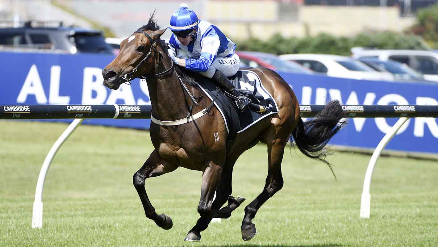 Pulsatilla powers to spectacular Ellerslie victory