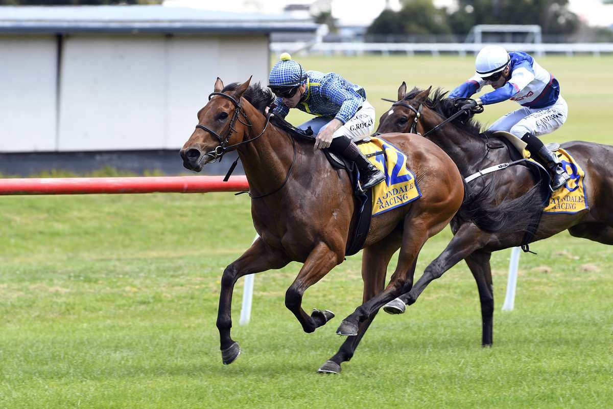 Kingsclere 3YOs chasing black-type glory