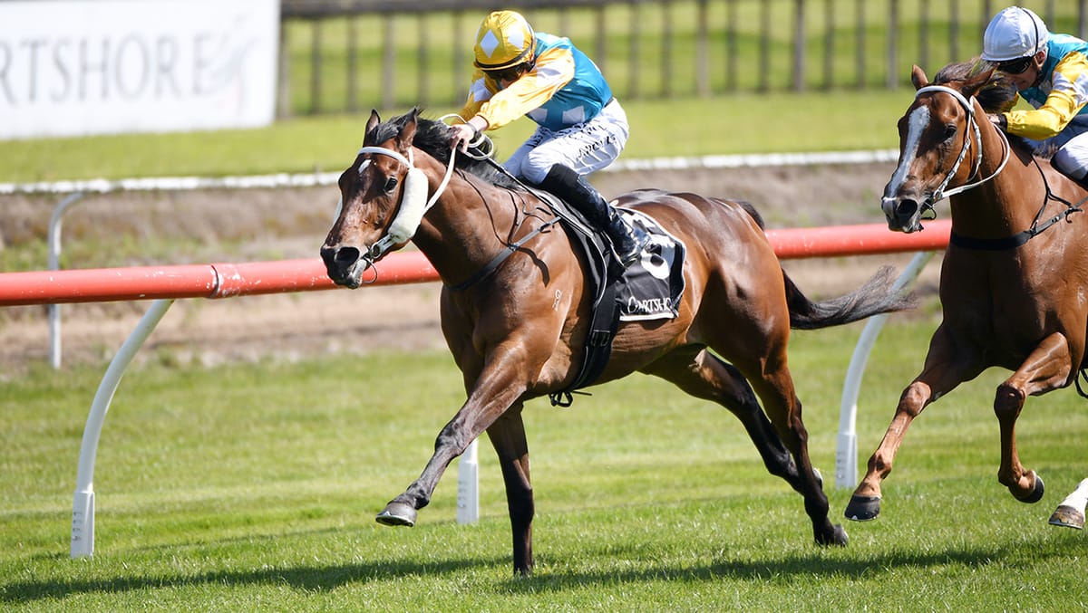 Swiss Prince heads Sarten quinella for Marsh