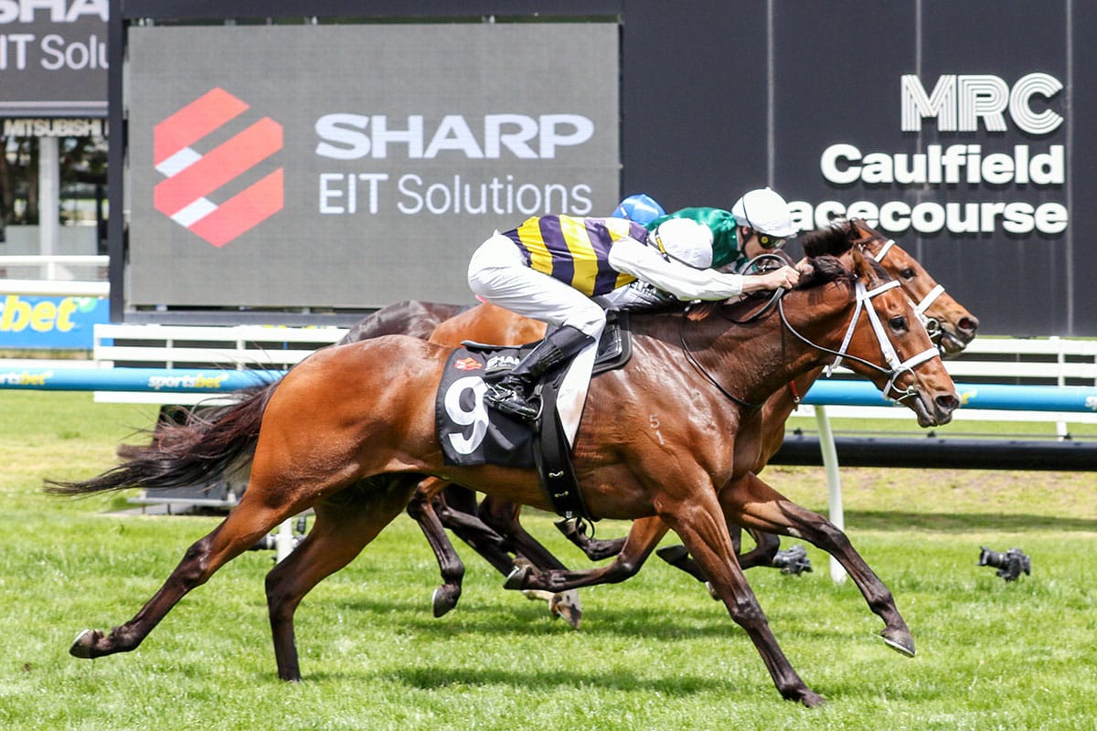 Skippers Canyon finishes strongly for Caulfield success