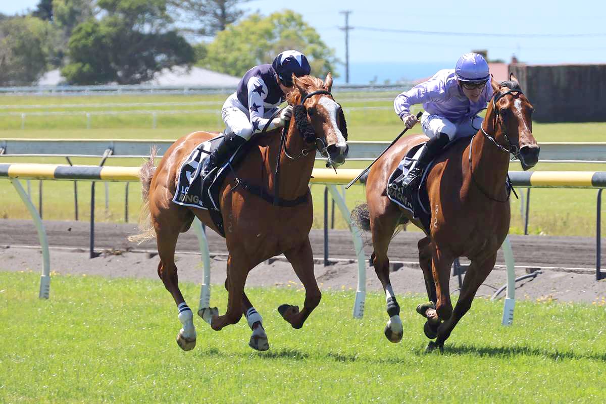 Sweet start to Wynyard’s week on the road