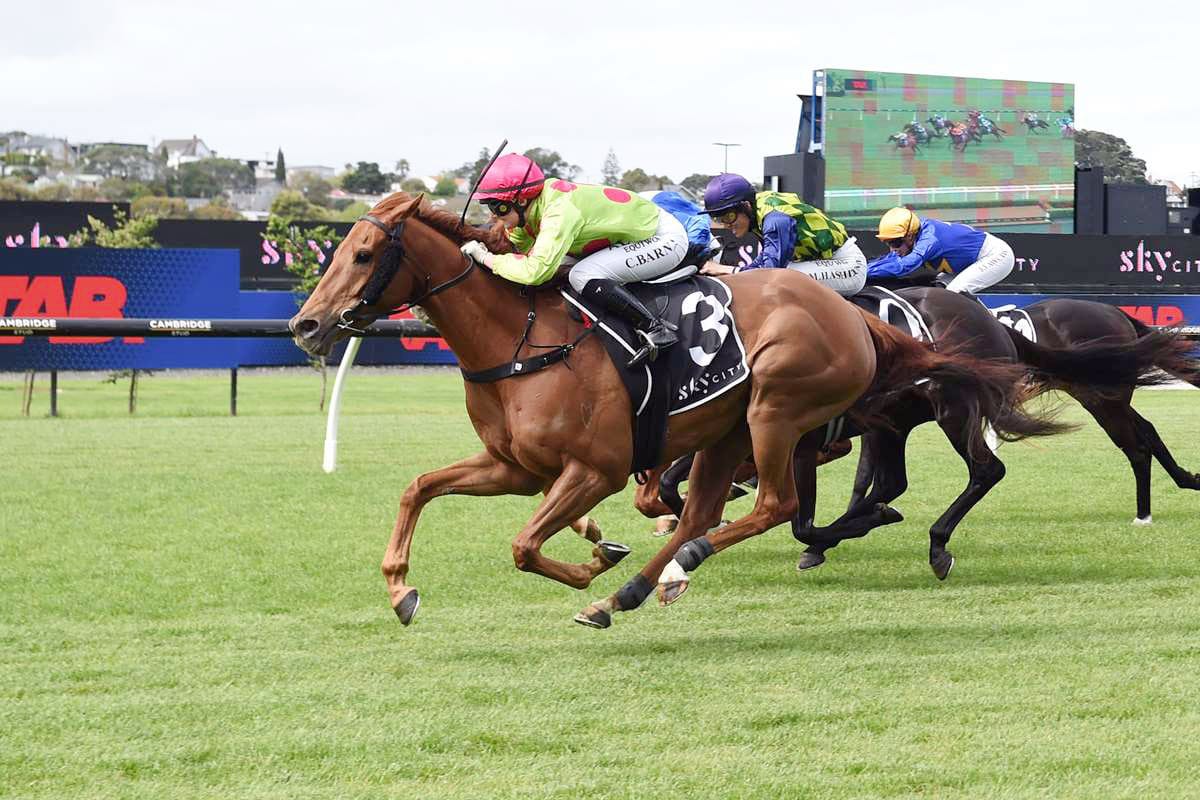 The Odyssey could earn crack at Group One feature