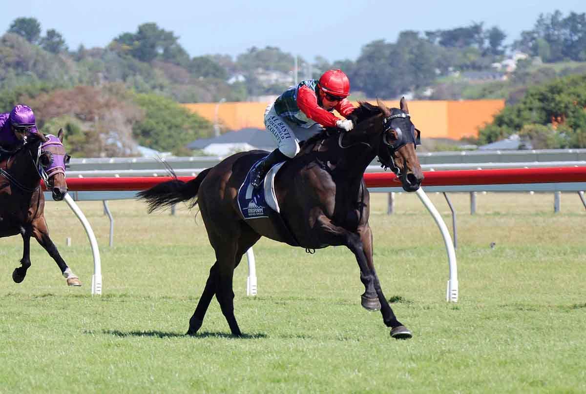 Favourite salutes in Wanganui Cup
