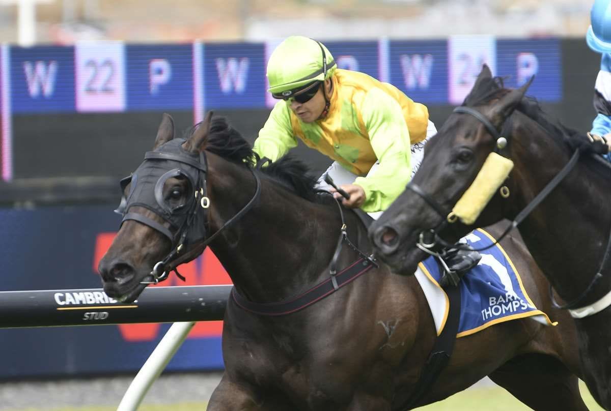 Wood’s stable looking to extend run of form