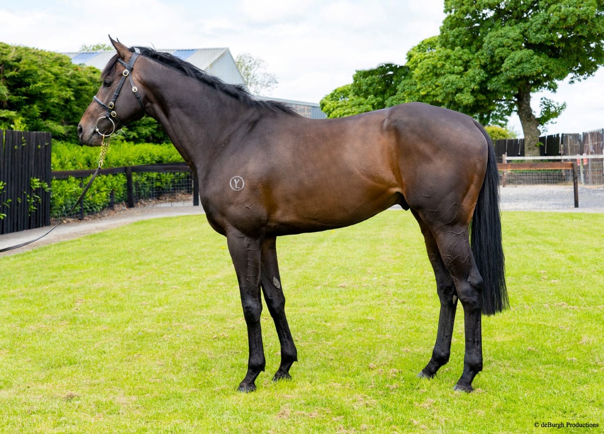 White Robe Lodge hoping Ancient Spirit can continue stakes momentum