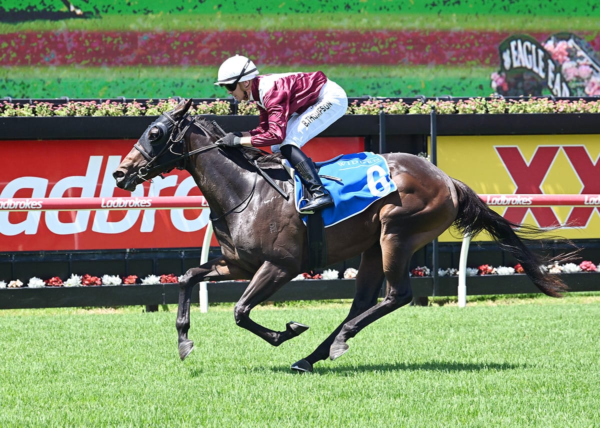 Karaka Millions beckons Birchley’s Dream Roca