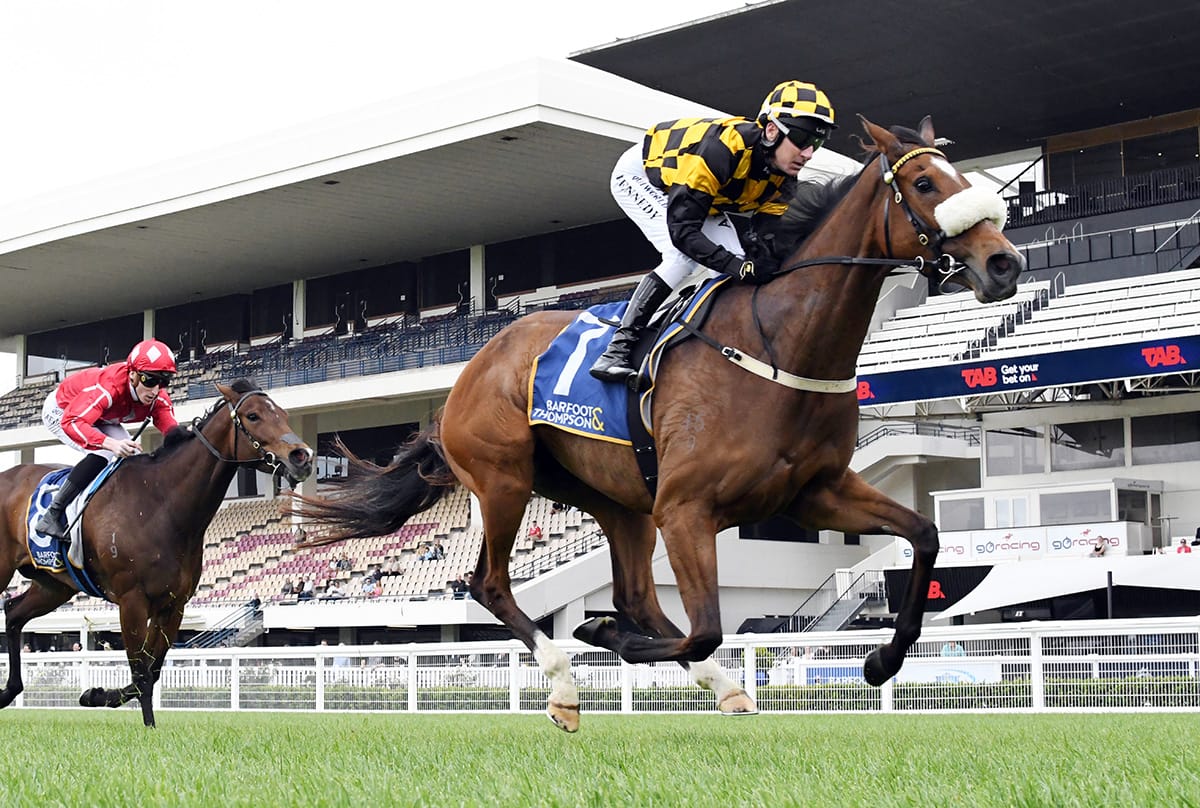 Noble eyes further Ellerslie rewards with Cambridge Stud team