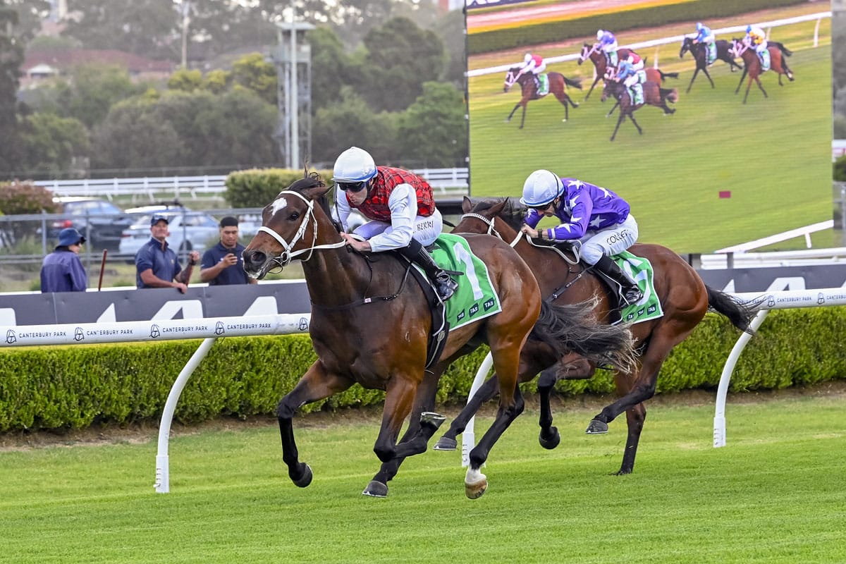 John Dory out to make a splash in Grand Prix