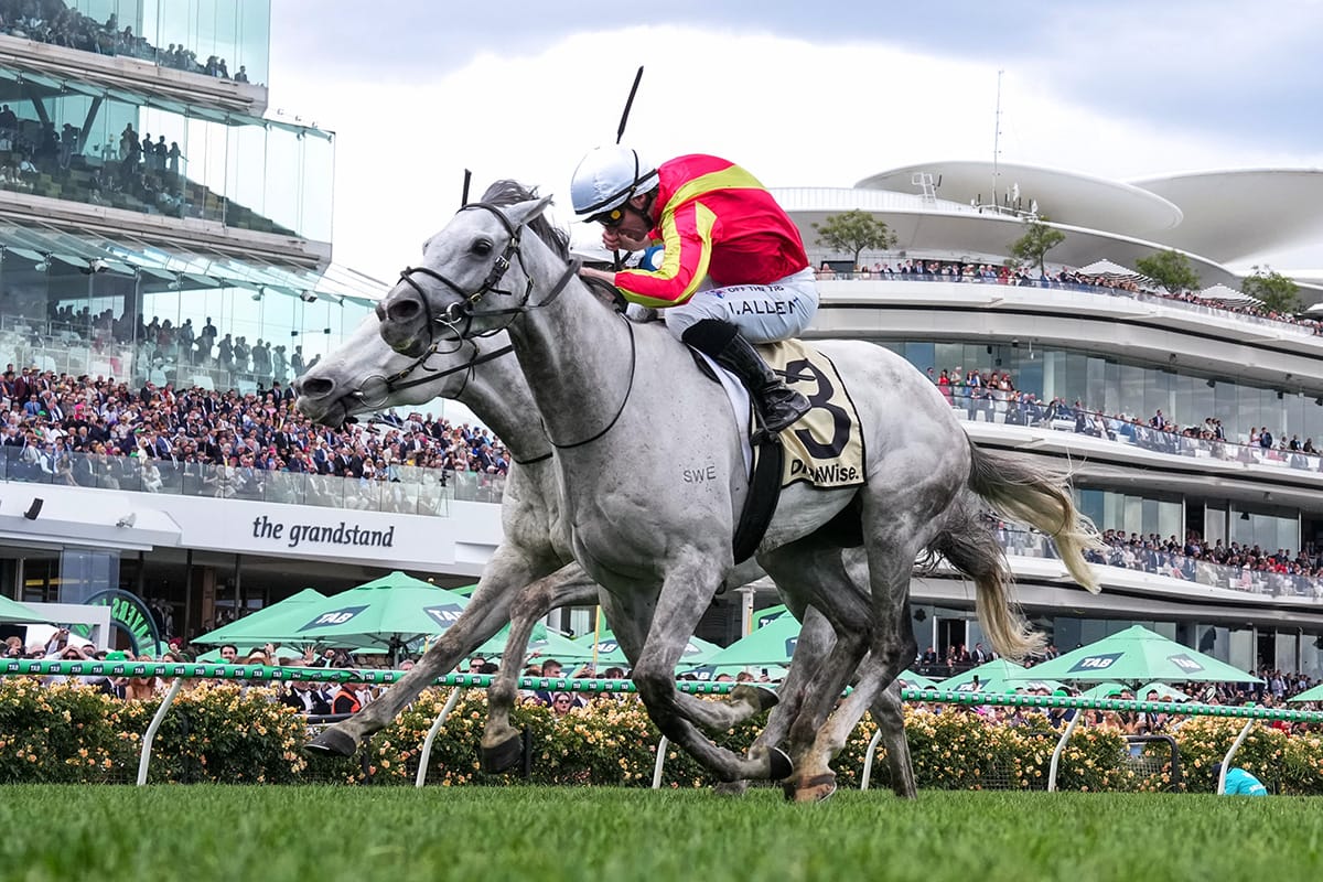 New Zealand Christmas for Bedggood