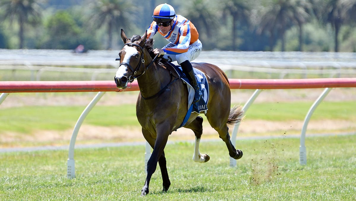 In-form pairing on track after rocky start