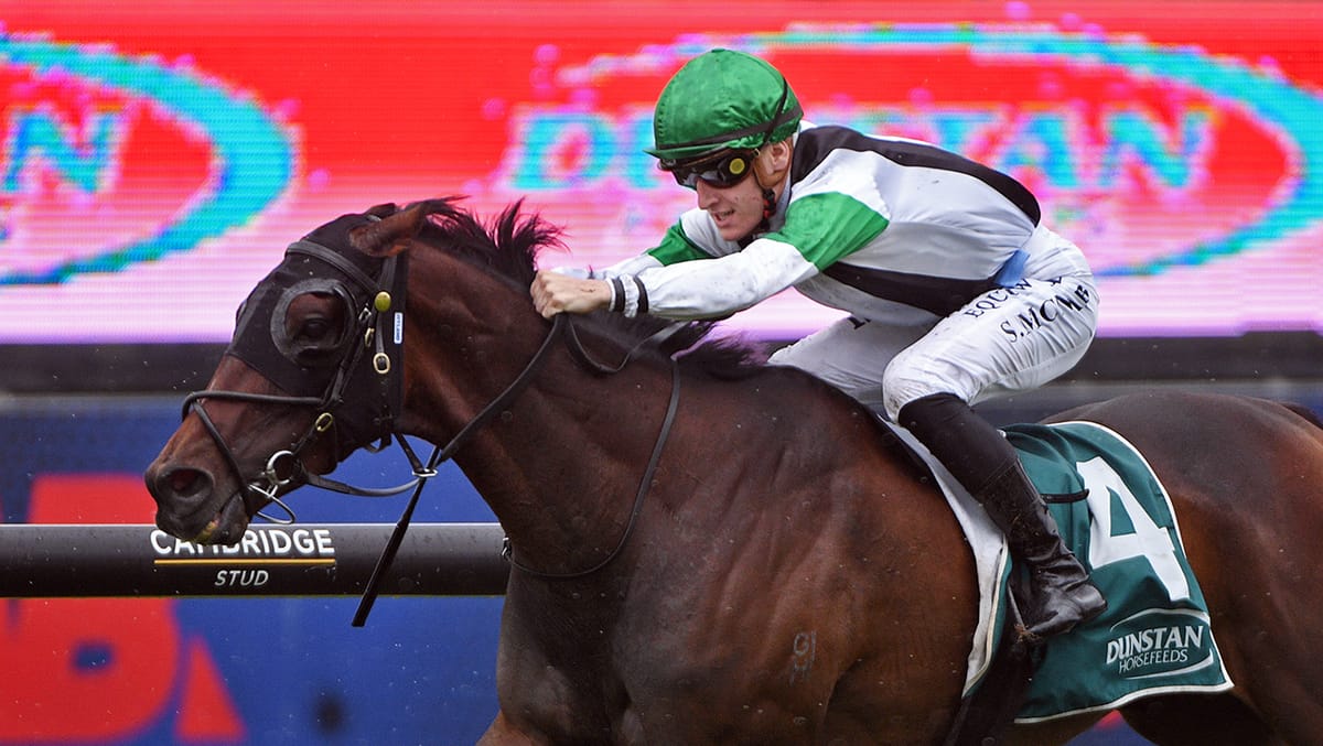 Stakes targets in the offing for Maldini following Boxing Day win