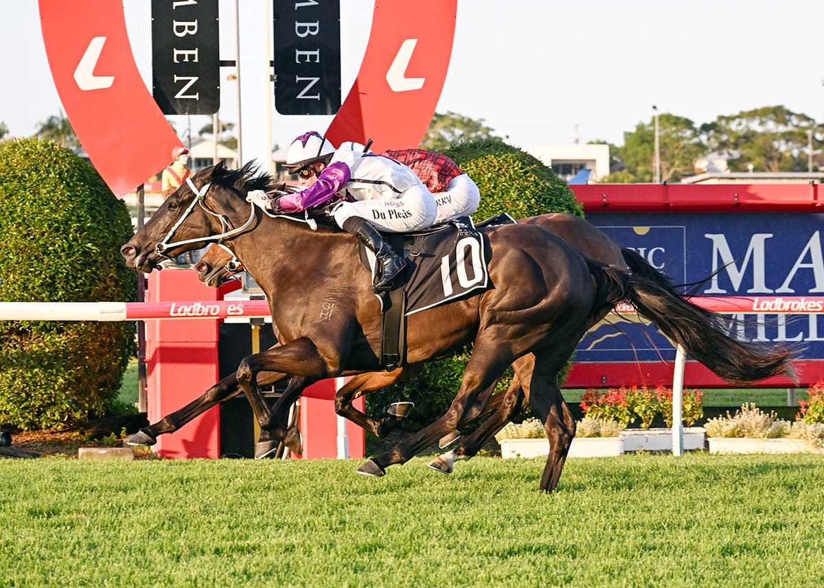 Sears gunning for more Grand Prix success