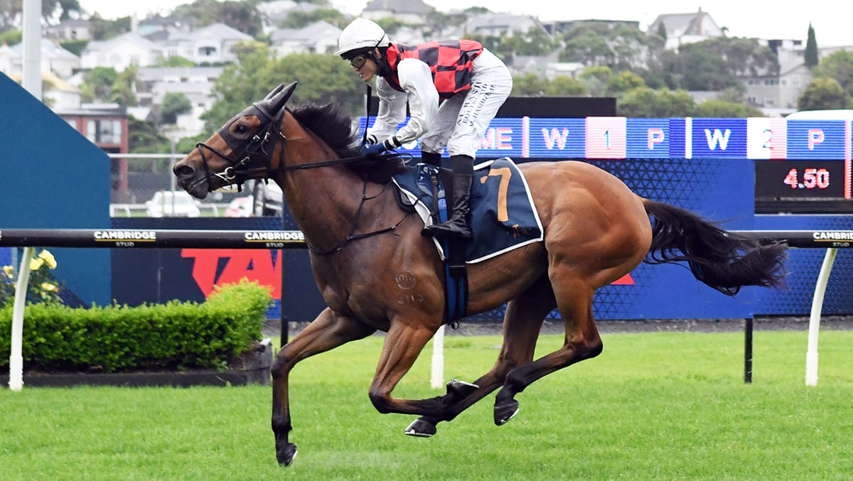 Rise Companions dominates Stella Artois Final