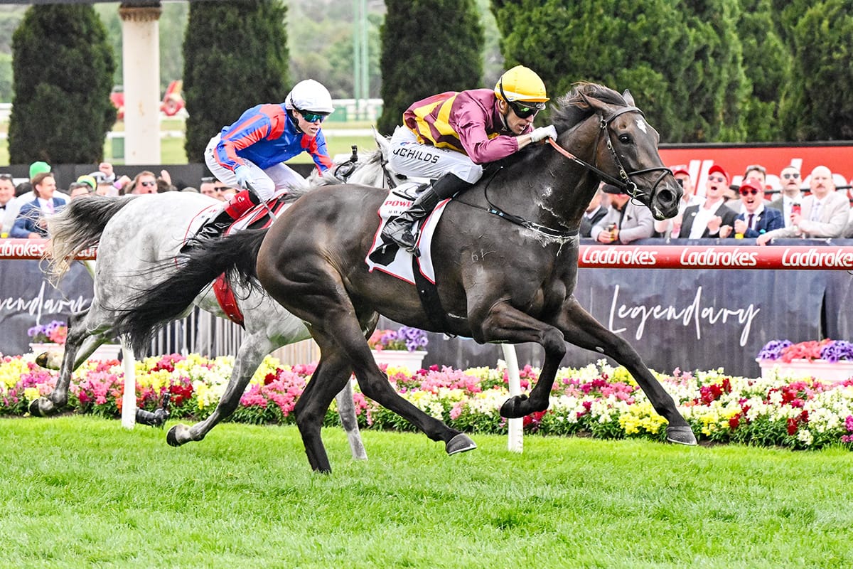 Sydney and Queensland on cards for Hustler