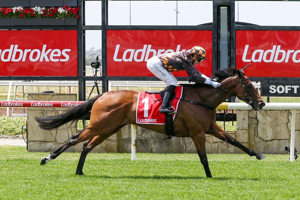 Bagot on radar for Shockletz