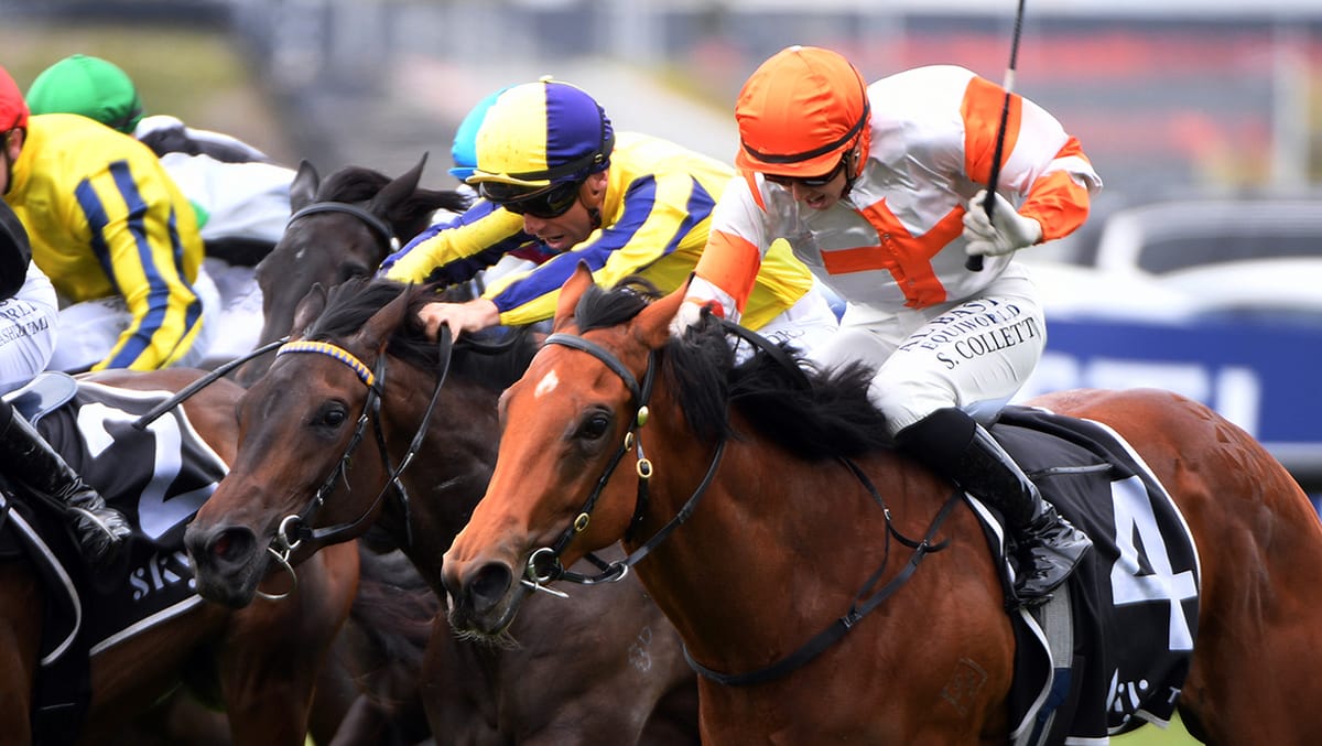 Wexford filly excites on debut