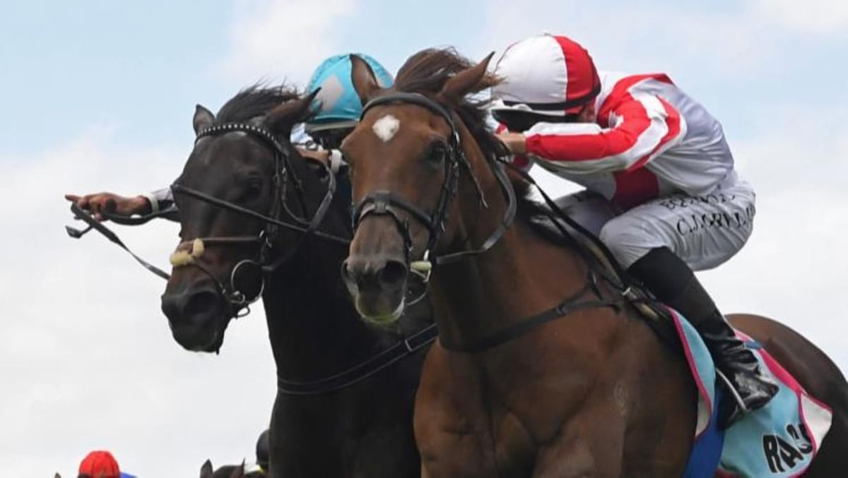 Déjà vu with The Dirty Dee