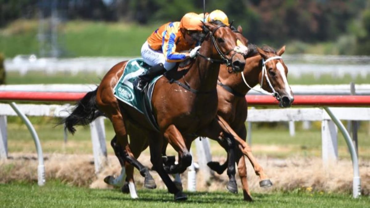 To Bravery Born continues impeccable fresh record