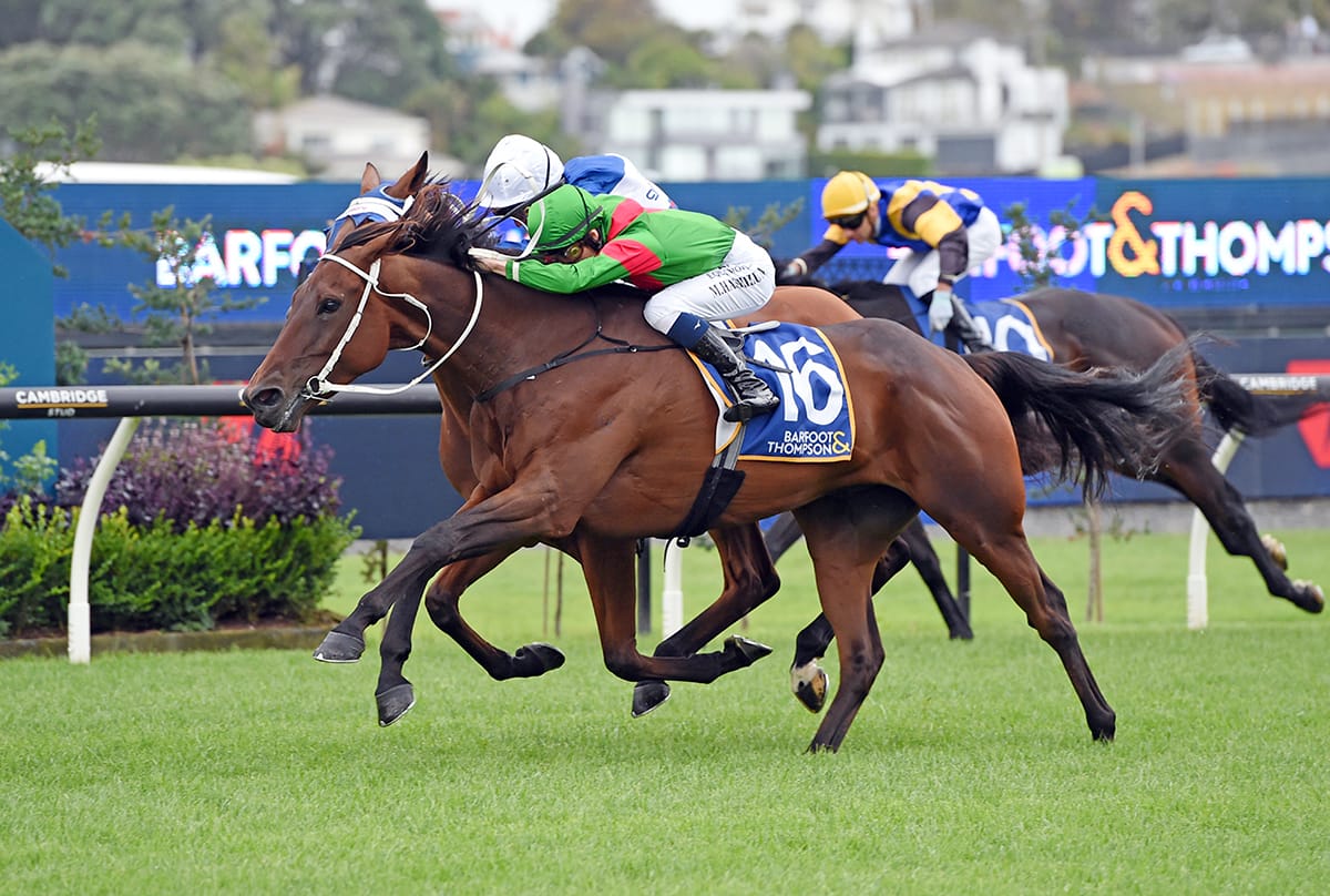 Trav seeking Cups redemption