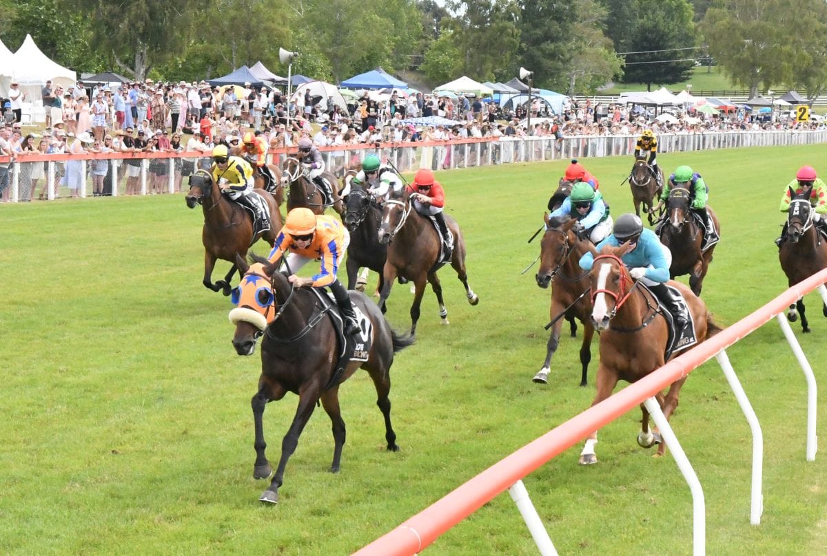 What You Wish For delivers Taupo Cup gift
