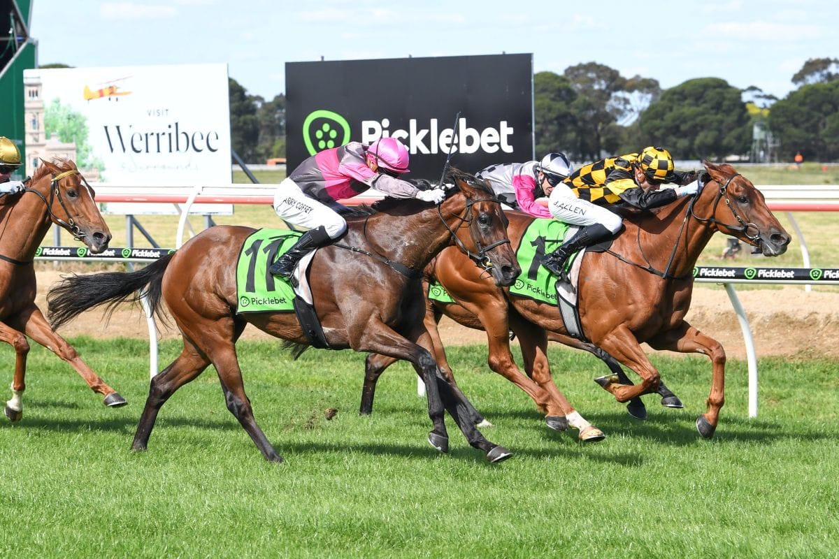 Werribee Cup in deadheat thriller
