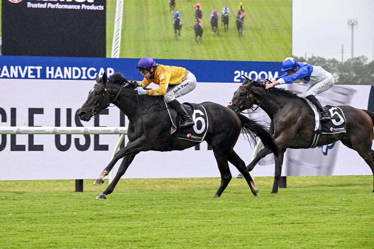 Bella Montagna scores at Rosehill