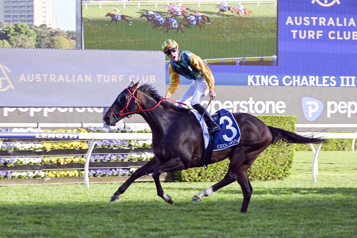 Minor setback for Ceolwulf