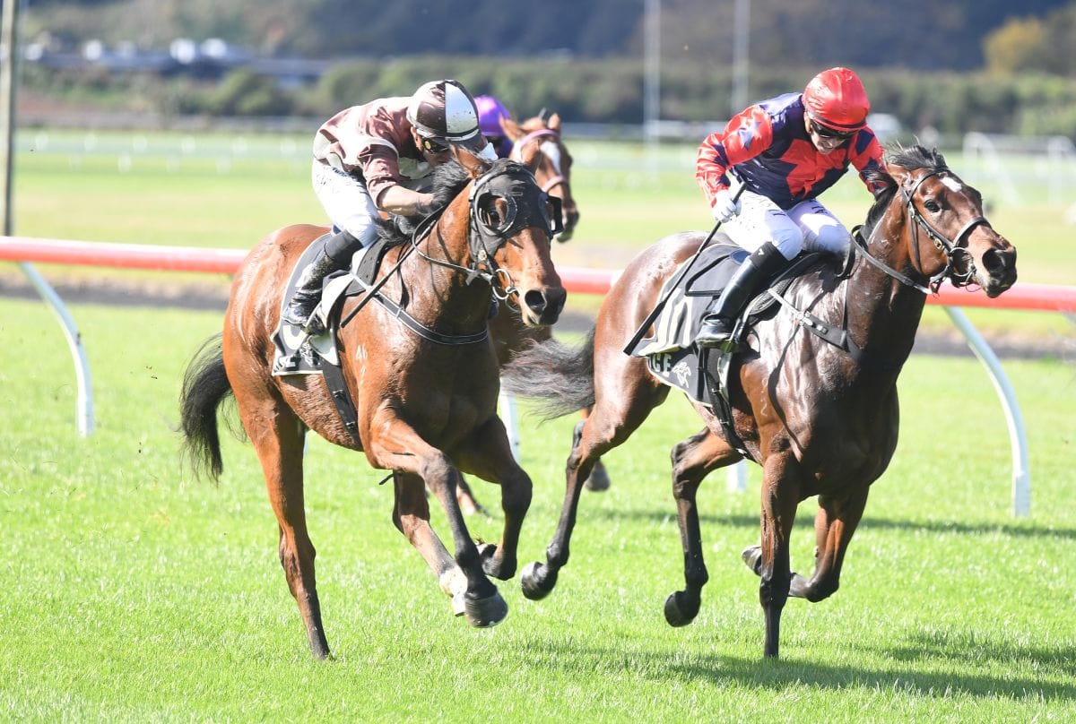 Sharrock duo to commence Derby bids