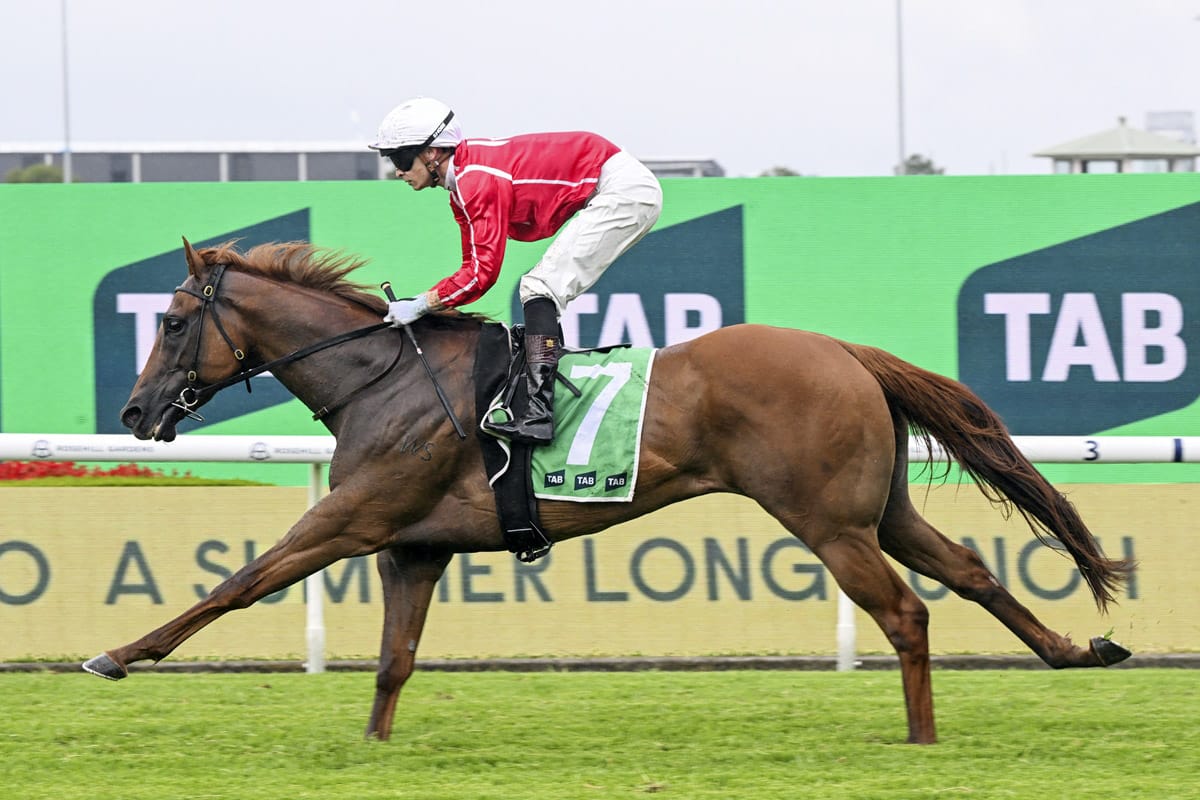 Cross Tasman blows rivals away