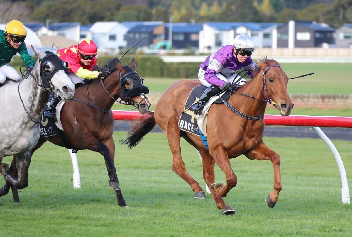 Blackadder seeking to break Reefton hoodoo