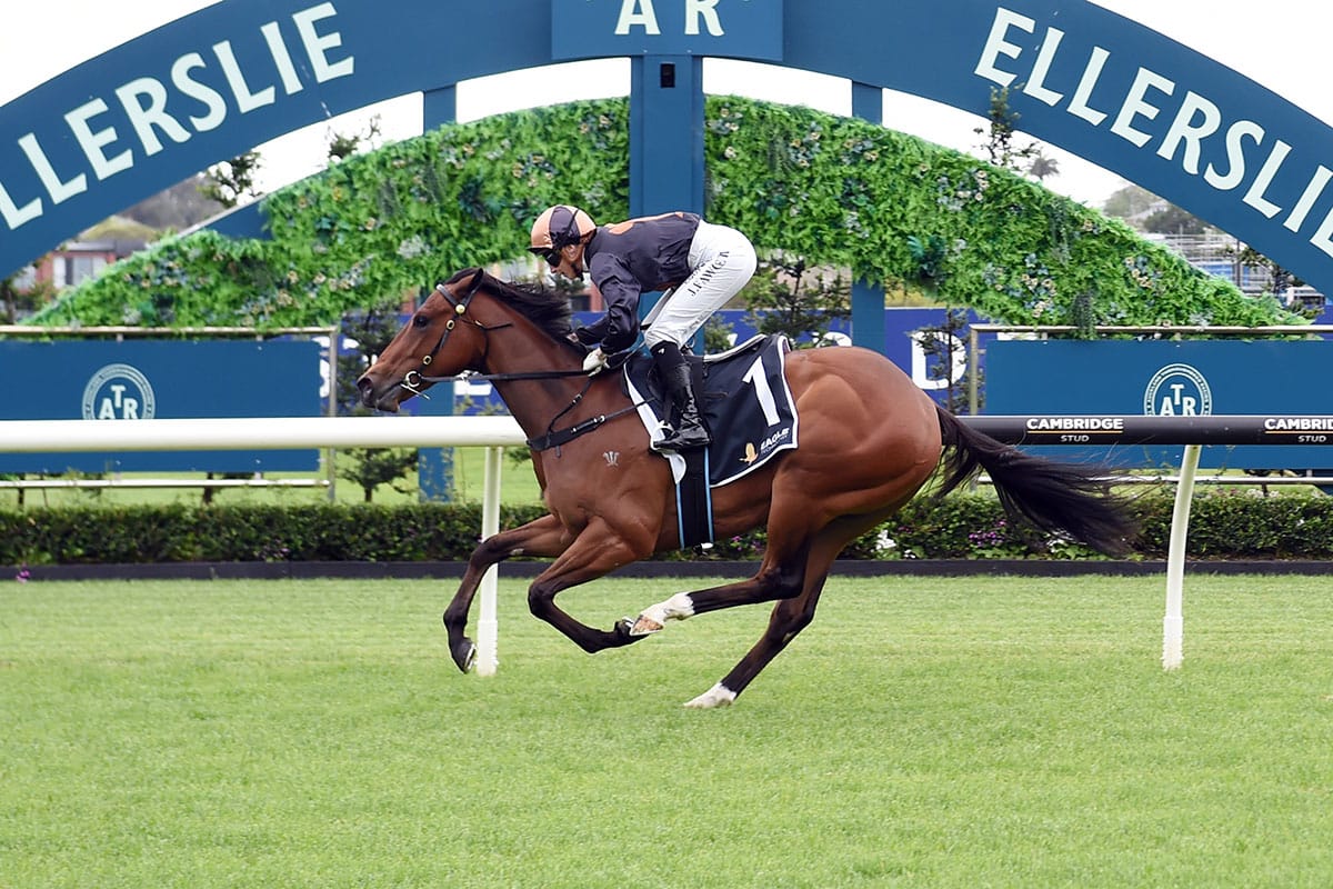 Harvey to head juvenile second wave