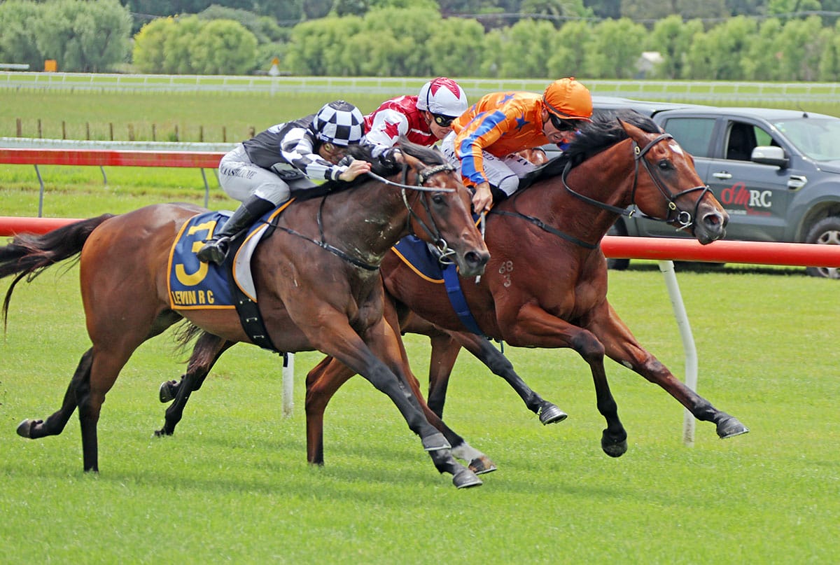 Stakes assignments home and away for Sharrock