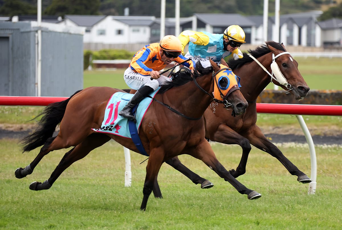 La Dorada back to her best in Levin Classic