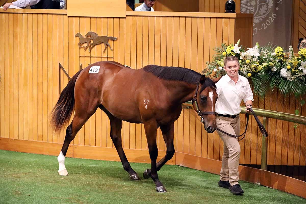 Book 1 Sets New Benchmark at Centennial Sale