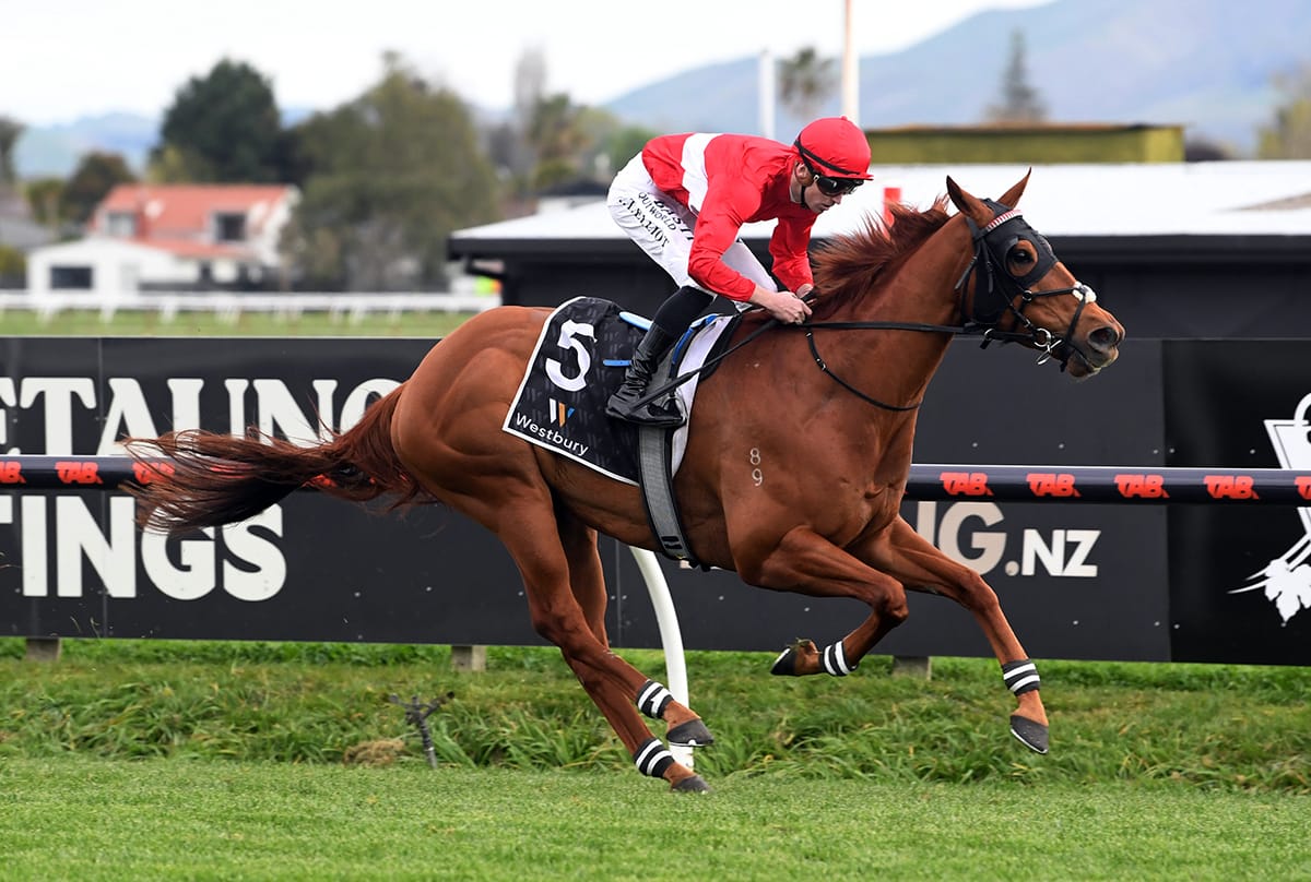 Cole navigating familiar path with Group One performer