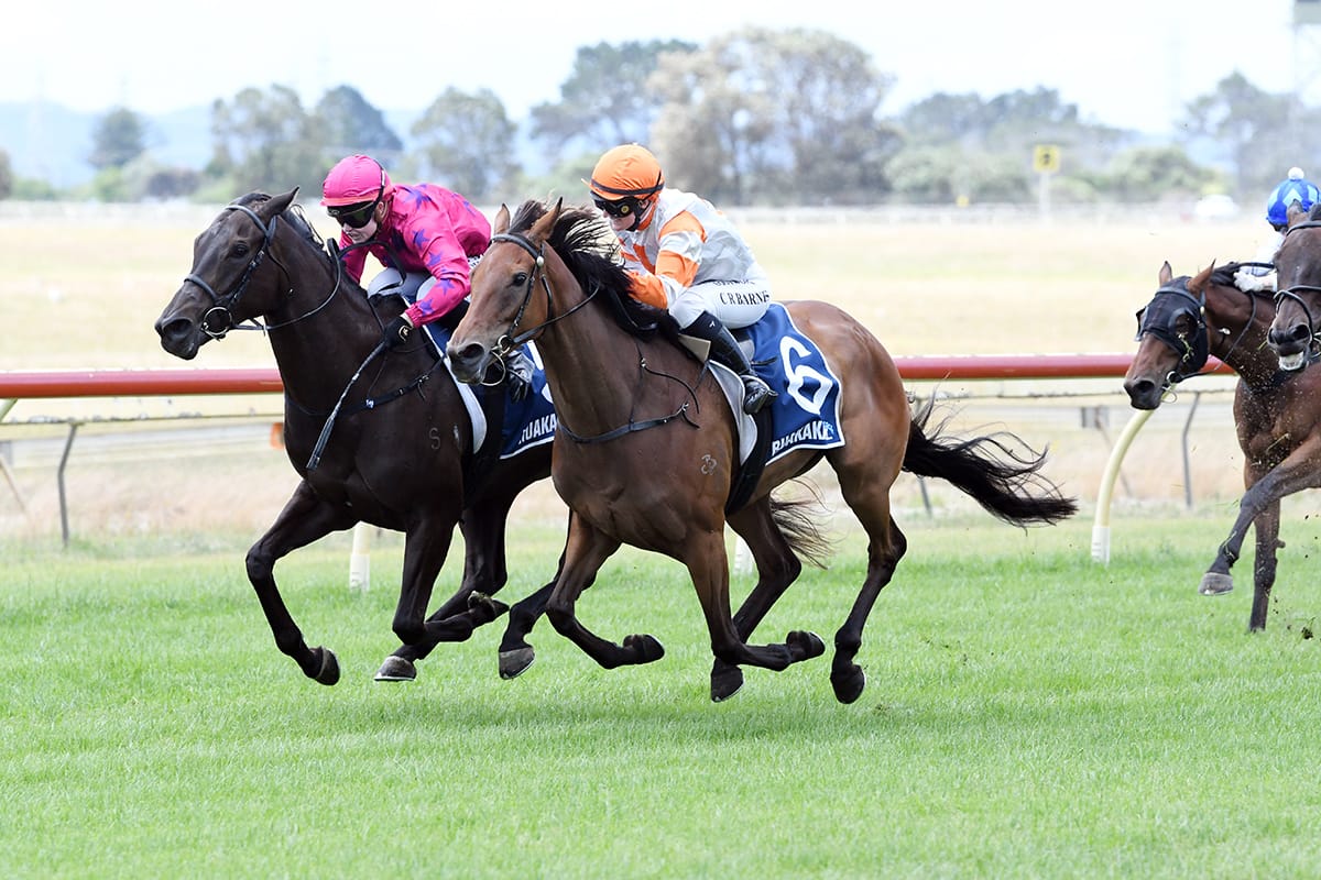 Bradley out to secure home cup