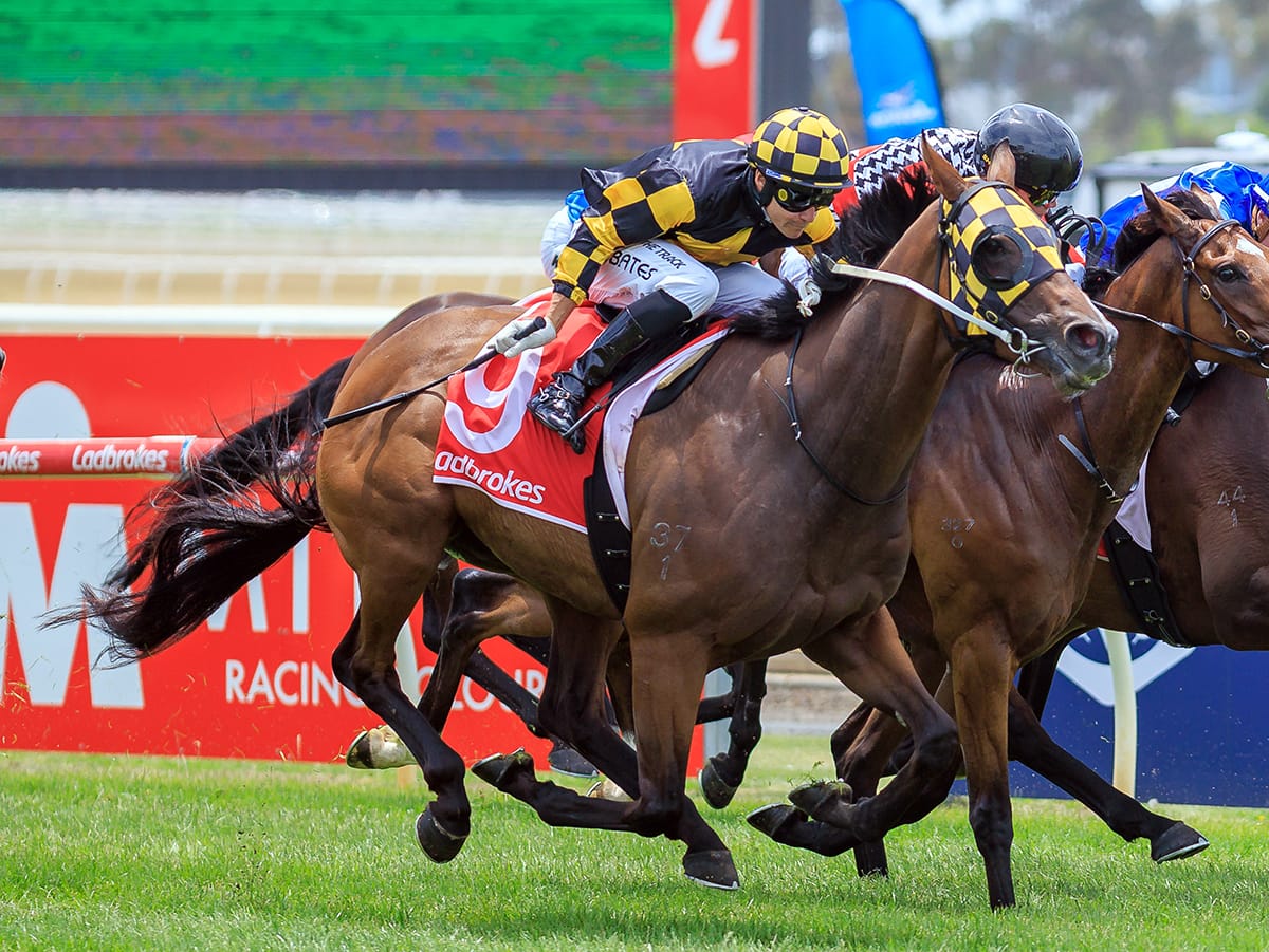 Leonchroi strikes at Geelong
