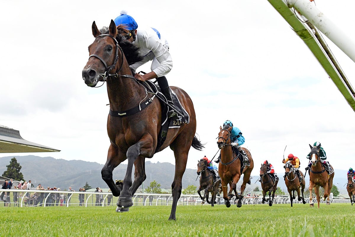 Savaglee camp contemplating first-up targets