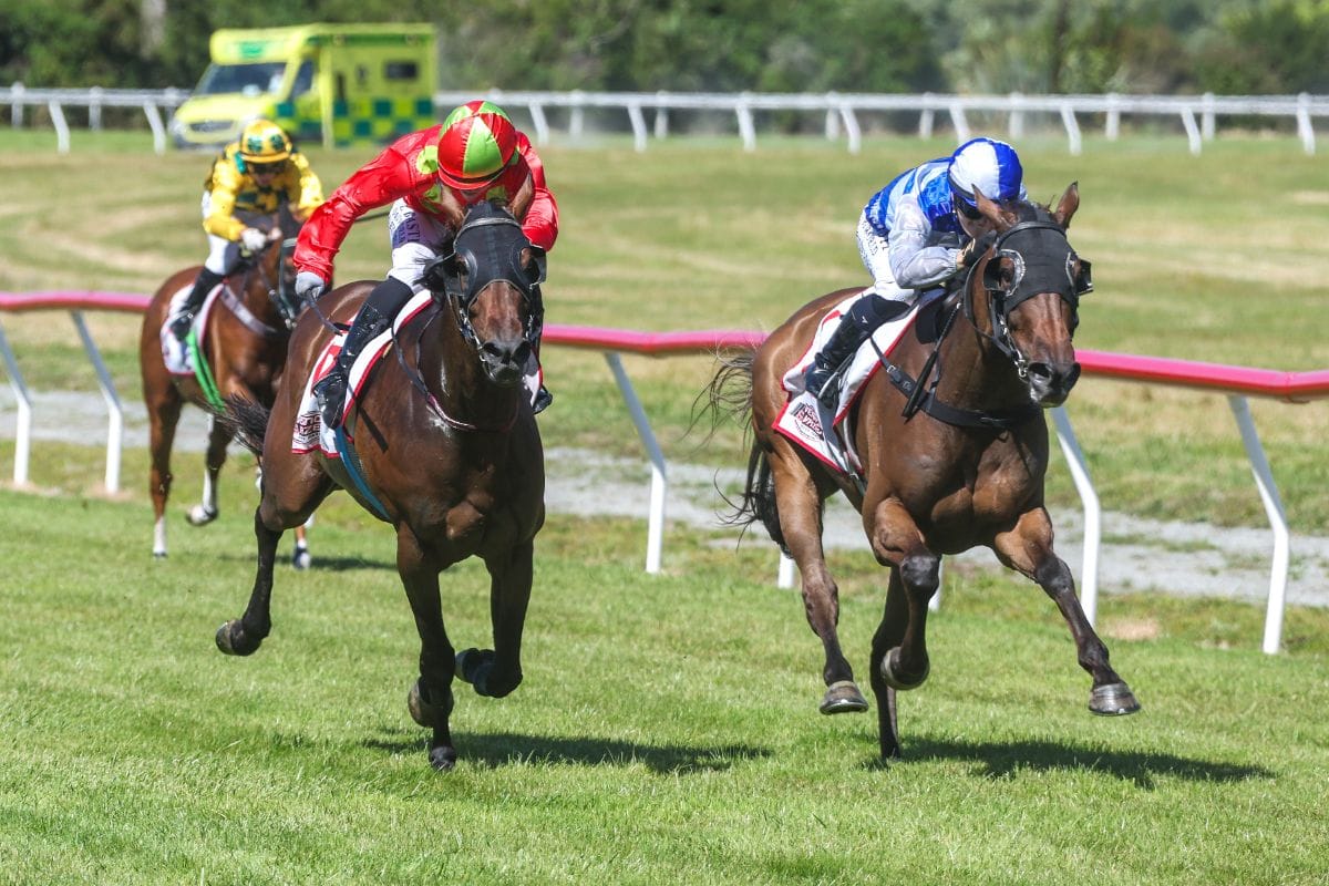 Myers dominates Greymouth card