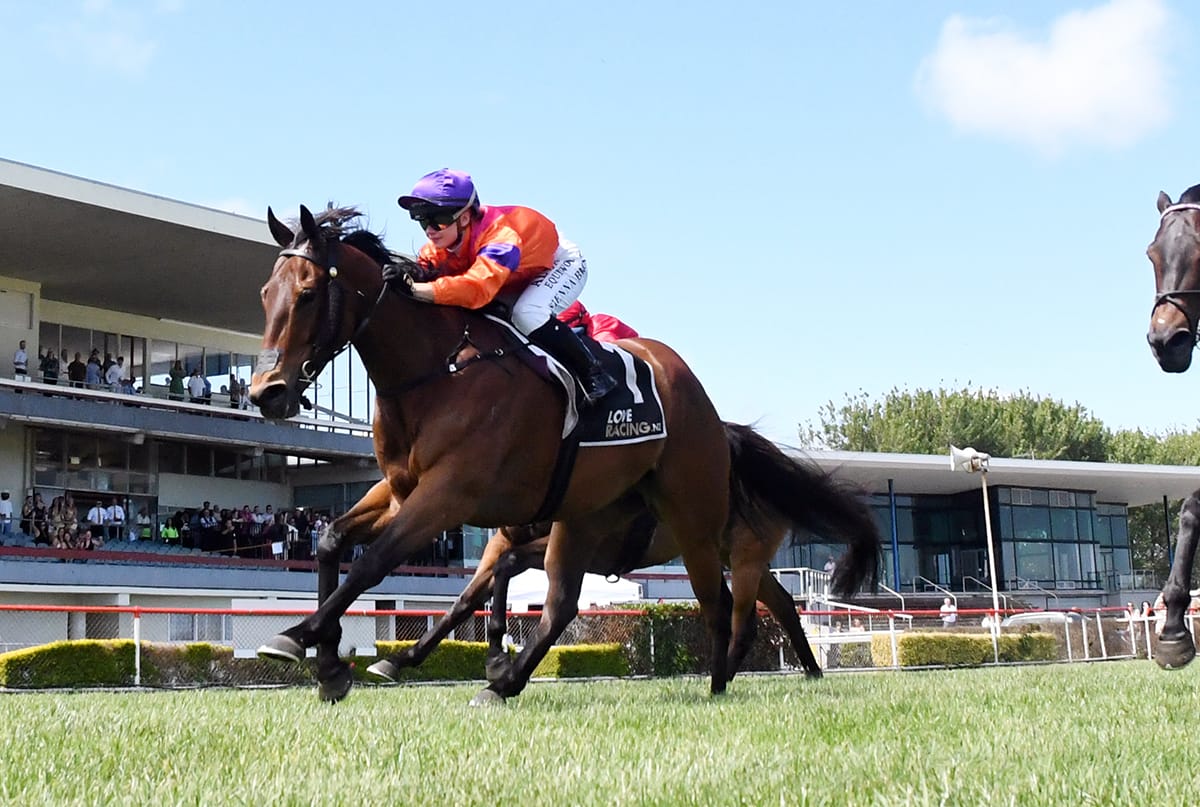 McKays realistic as they return to happy hunting ground