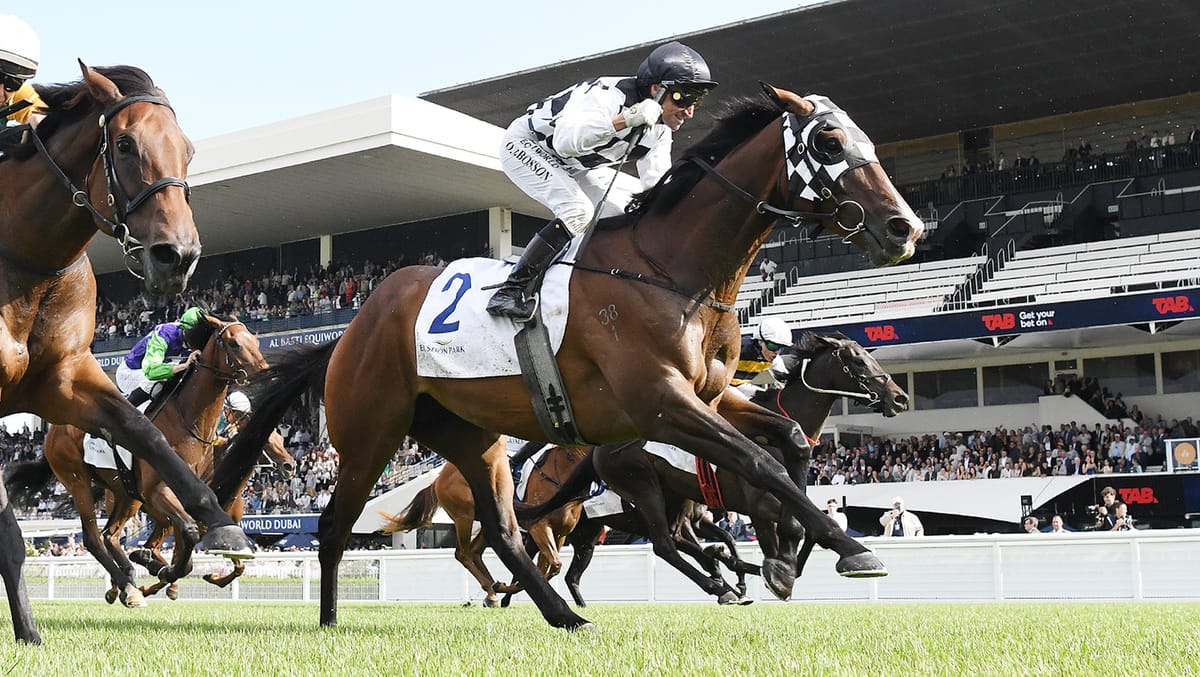 Tuxedo proves best dressed in Aotearoa Classic