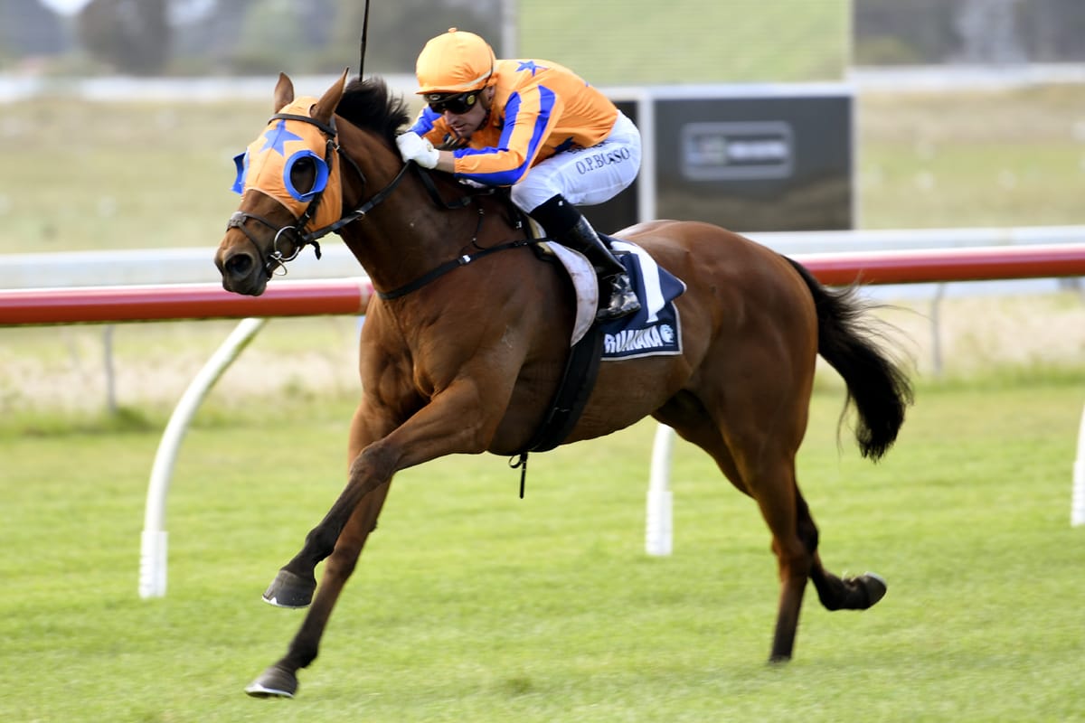 Group goal for Te Teko winner