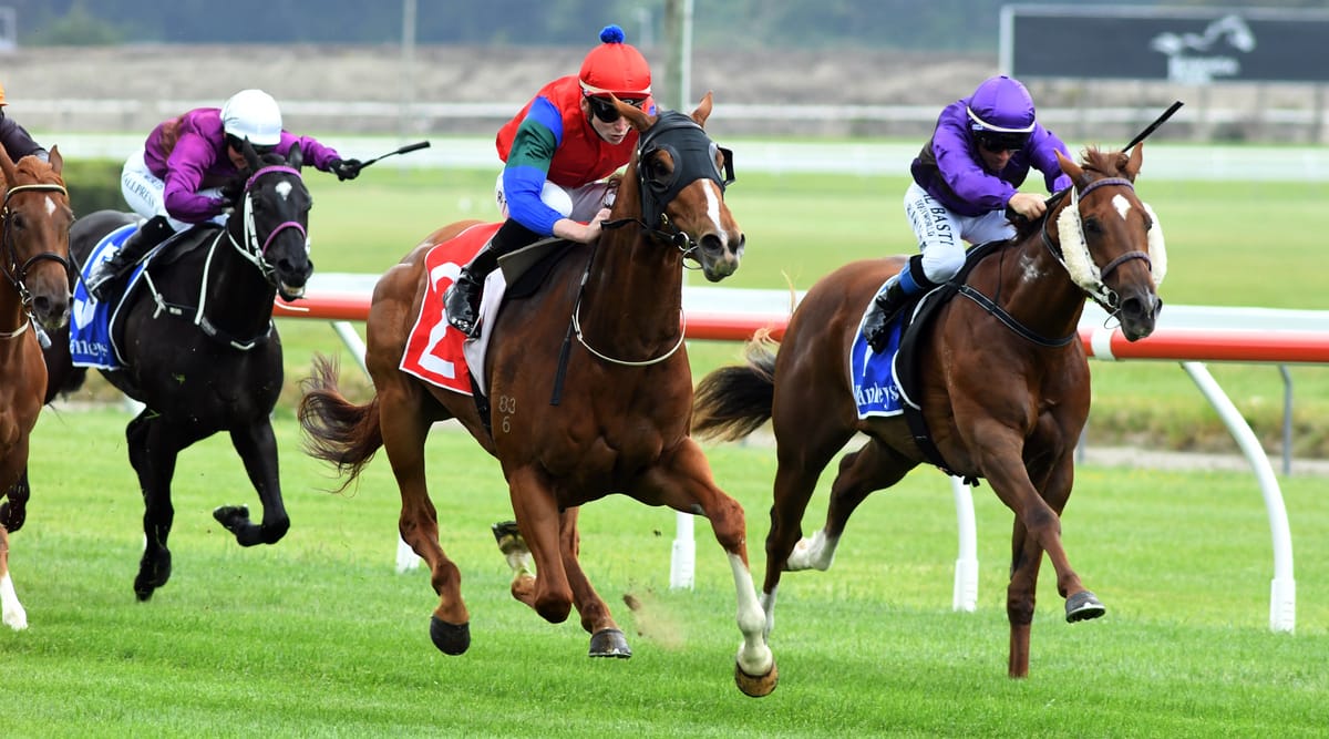 Mascarpone hints at bright future with stylish Trentham victory