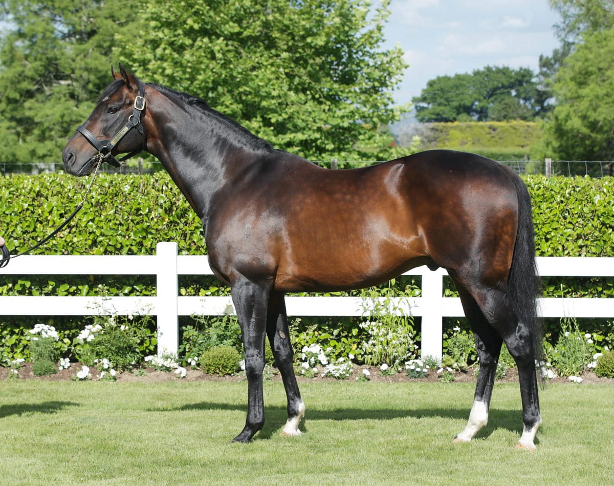 Cambridge Stud mourn loss of Tavistock