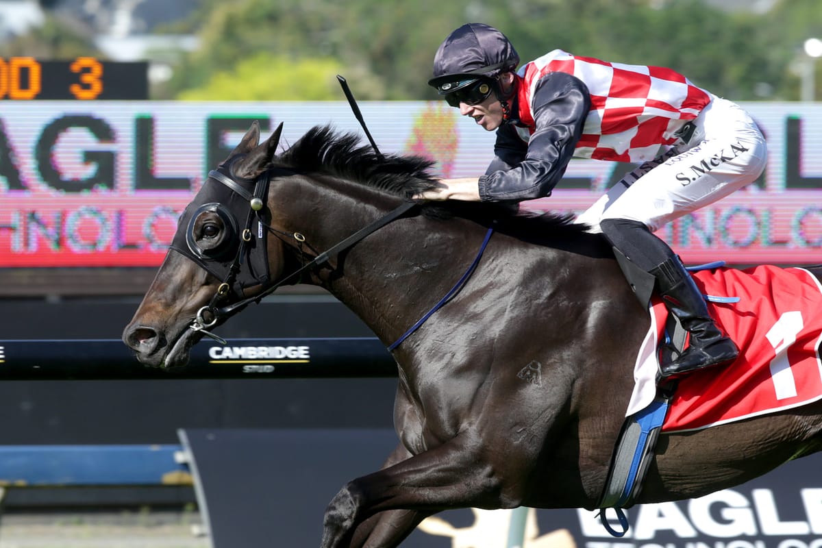 AUDIO: Peter McKay