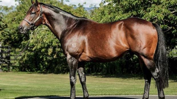 Rock ‘N’ Pop enjoying new surroundings