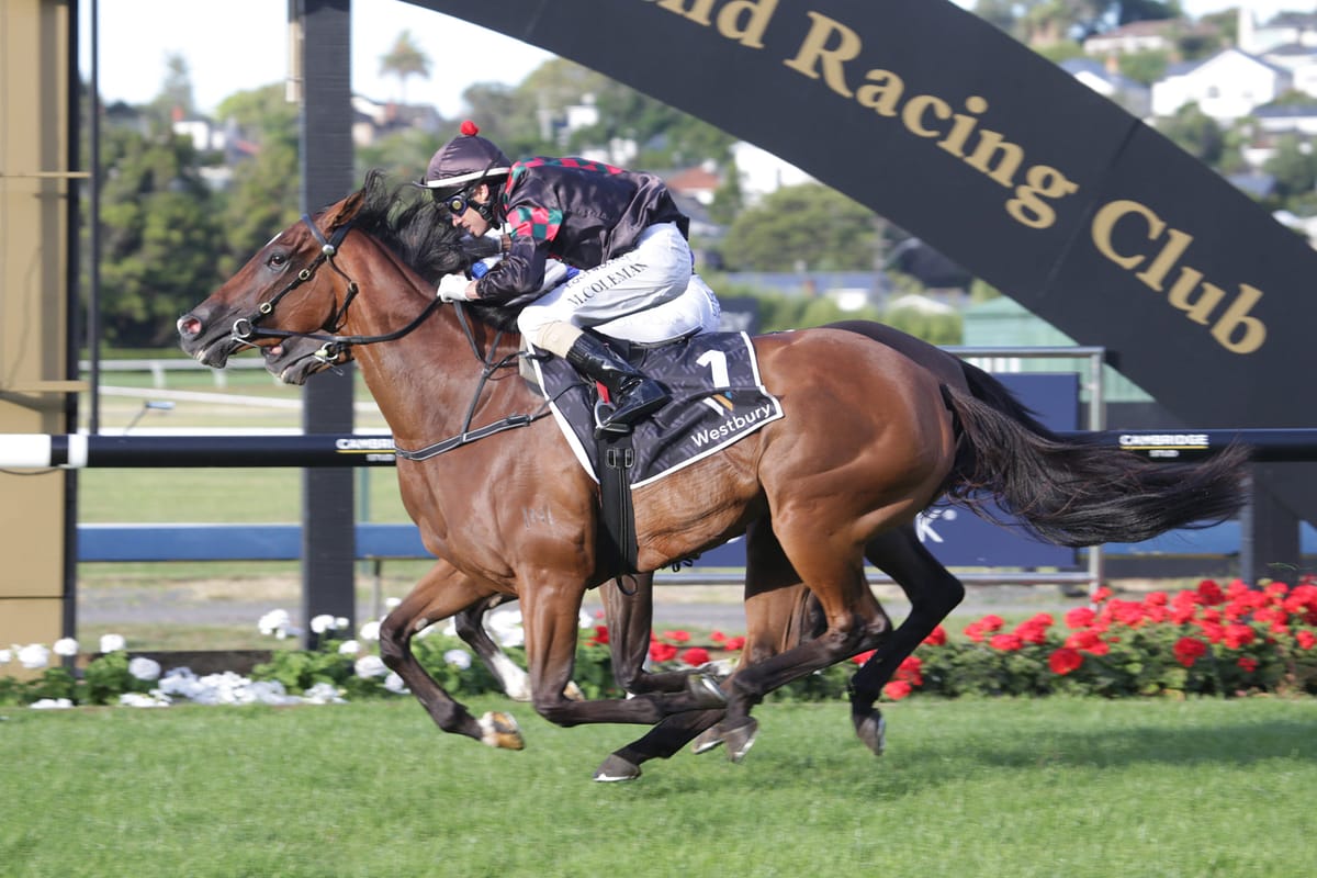 Volpe Veloce on song for Railway