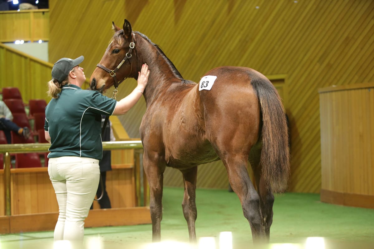 Karaka May Sale cancelled