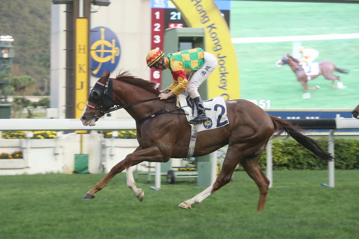 New best for Yiu as Mighty Giant impresses