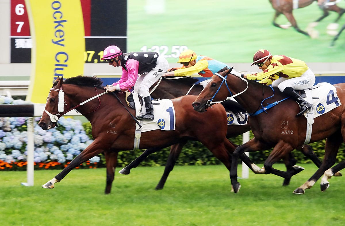 Dynamic duo aim for Champions Mile three-peat